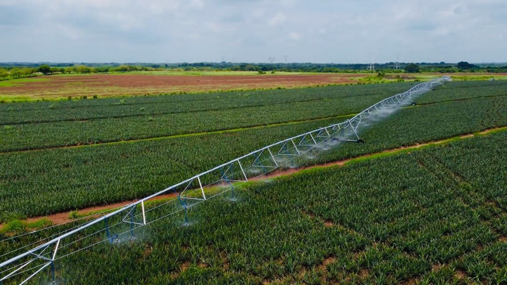 0213ef.mov Snapshot 01.24.084 1024x576