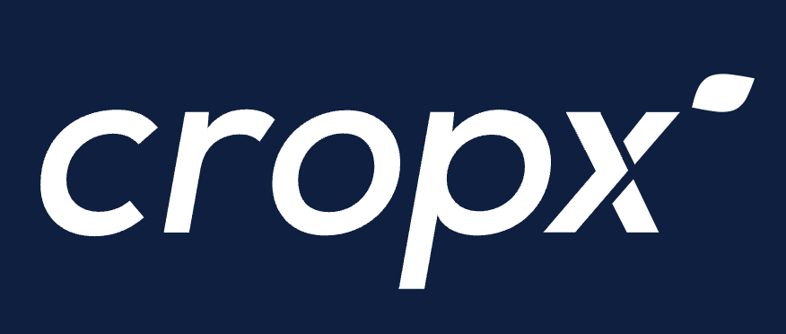 Screenshot 2025 01 06 At 1.48.59 PM